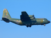 Lockheed C-130B Hercules (L-282)  (5930)