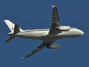 Airbus A319-132
