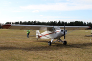 Piper PA-18-95 Super Cub (ZK-BKX)