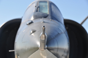 Grumman G-79/93/94/99/105 F9F Panther/Cougar (026)