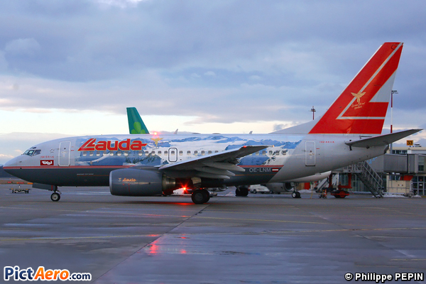 Boeing 737-6Z9 (Lauda Air)