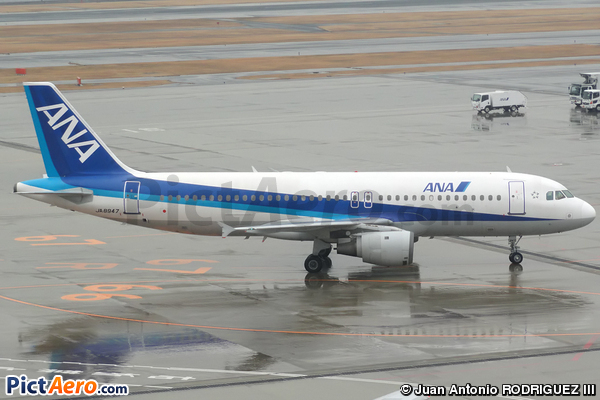 Airbus A320-211 (All Nippon Airways)