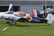 Jodel D-18 (F-PCAL)