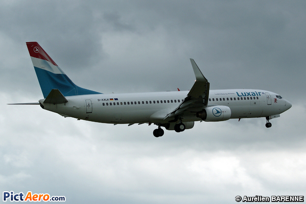 Boeing 737-86J (Luxair - Luxembourg Airlines)