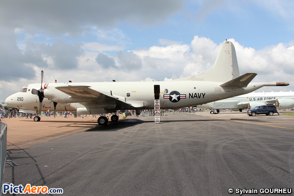 Lockheed P-3C Orion (United States - US Navy (USN))