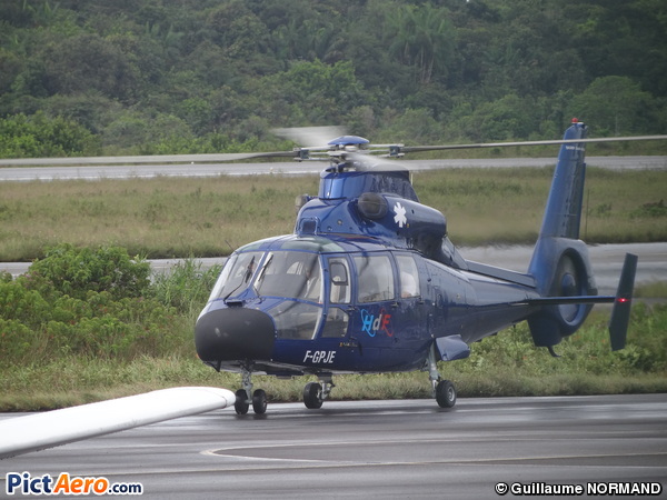Eurocopter SA.365N Dauphin 2 (Hélicoptères de France)