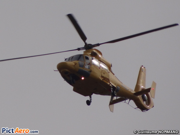 Eurocopter AS-365N-3 Dauphin 2 (Noordzee Helikopters Vlaanderen (NHV))