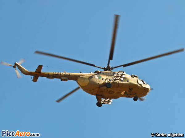 Mil Mi-17 (Algeria - Air Force)