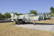 MiG-21/J-7 Fishbed/Mongol (613)