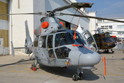 Eurocopter AS-565SA Panther (519)