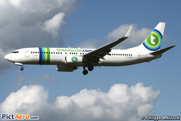 Boeing 737-8GJ/WL (Transavia France)