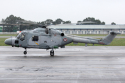 Westland WG-13 Lynx HAS2(FN) (273)