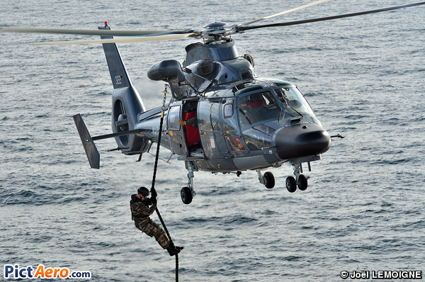 Eurocopter SA-365F1 Dauphin 2 (France - Navy)