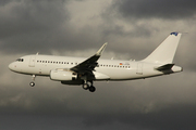 Airbus A319-132 - D-AVWL
