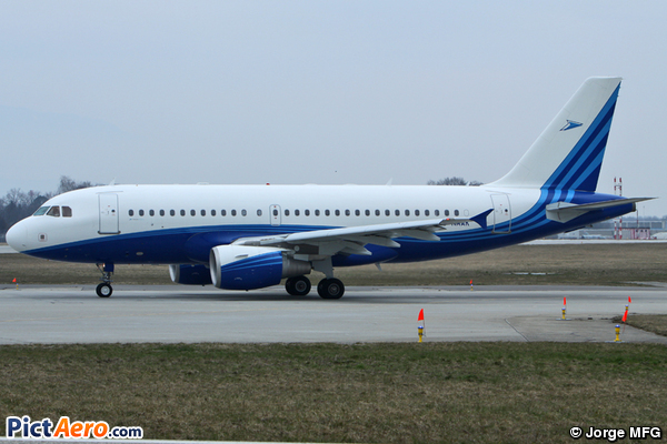 Airbus A319-133X/CJ (Twinjet Aircraft)