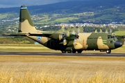 Lockheed C-130B Hercules (OM1)