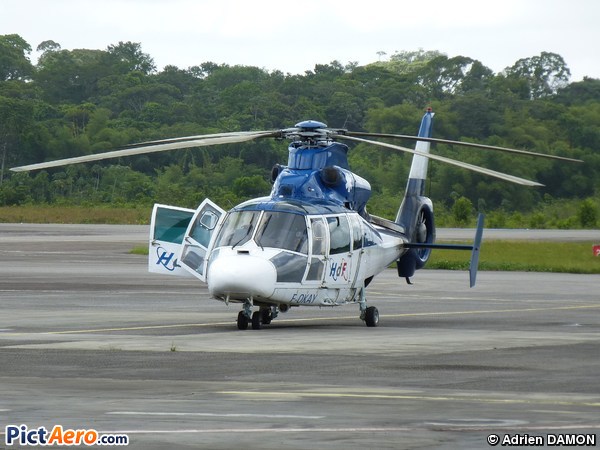 Eurocopter AS-365N-1 Dauphin 2 (Hélicoptères de France (HDF))