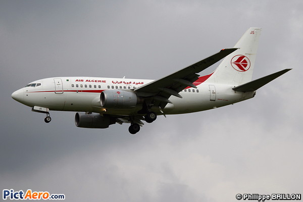 Boeing 737-6D6 (Air Algerie)