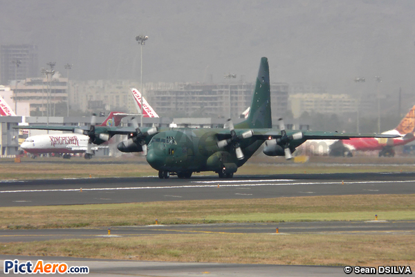 Lockheed C-130H Hercules (L-382) (South Korea - Air Force)