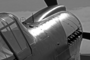 P-40M (G-KITT)