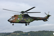 Eurocopter EC-725 Cougar (Aérospatiale AS-532)