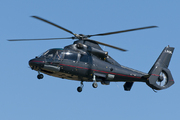 Eurocopter AS-365N-2 Dauphin 2