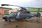 Eurocopter SA-365F1 Dauphin 2 (313)