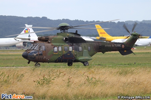 EC225LP Cougar  (France - Army)