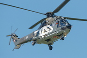 Eurocopter AS 332 M1 Super Puma (T-316)