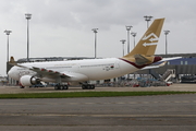 Airbus A330-202 (F-WWCT)