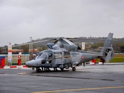 Eurocopter AS-565SA Panther (F-XCHL)
