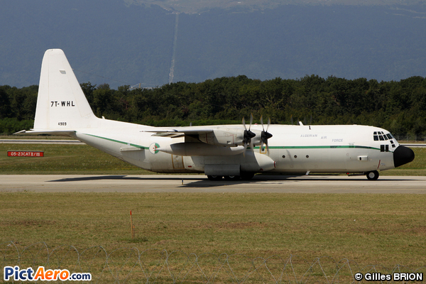 Lockheed C-130H Hercules (L-382) (Air Algérie Cargo)