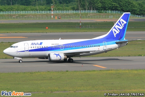 Boeing 737-54K (ANA Wings)