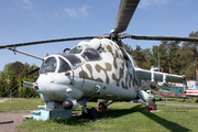 Mil Mi-24 Hind (16)