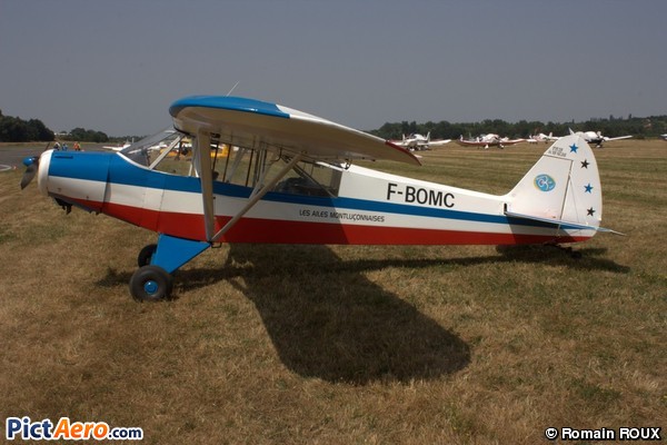 Piper PA-19 Super Cub (Les Ailes Montluçonnaises)