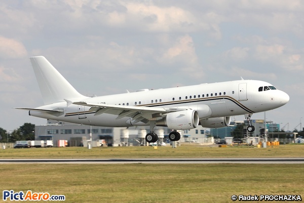 Airbus A319-115/ACJ  (Aviation Link)
