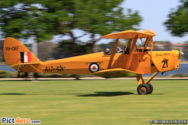 De Havilland DH-82A Tiger Moth (Royal Aero Club of Western Australia)