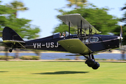 De Havilland DH-83C Fox Moth (VH-USJ)