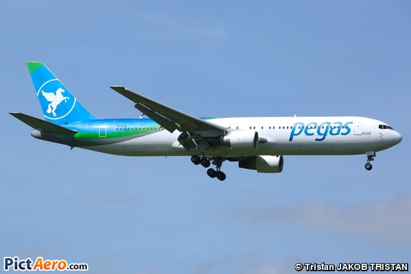 Boeing 767-3Q8/ER (Pegas Fly)