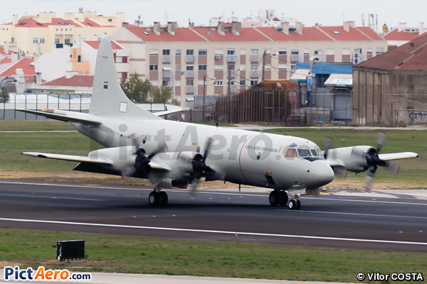 Lockheed P-3C Orion (Portugal - Air Force)