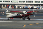 De Havilland Canada DHC3T Turbine Otter
