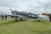 Curtiss 81/87 Warhawk (P-40 Tomahawk/Kittyhawk)