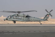 UH-60M Blackhawk (333)