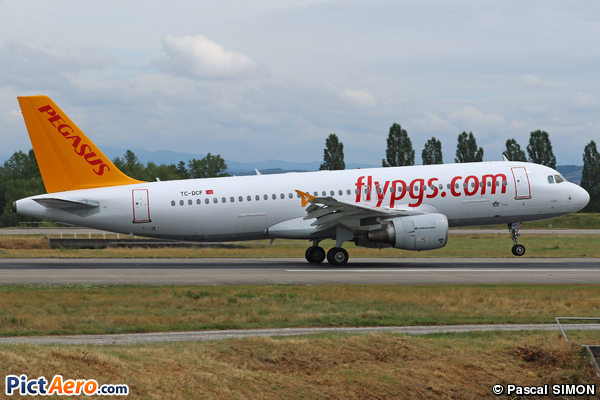 Airbus A320-216 (Pegasus Airlines)