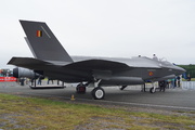 Lockheed Martin F-35 Lightning II (WWW)