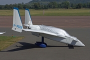 Rutan 61 Long-EZ (F-PGEV)