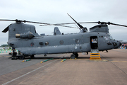 Boeing CH-47F Chinook (D-890)