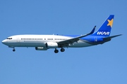 Boeing 737-8Q8 (VQ-BVY)