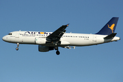 Airbus A320-216 (EI-DSZ)