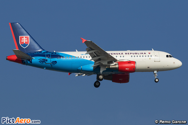 Airbus A319-115X/CJ (Slovakia - Government Flying Service)